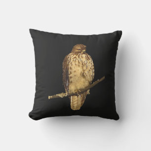 Red-Tailed Hawk Animal Outdoor Pillow