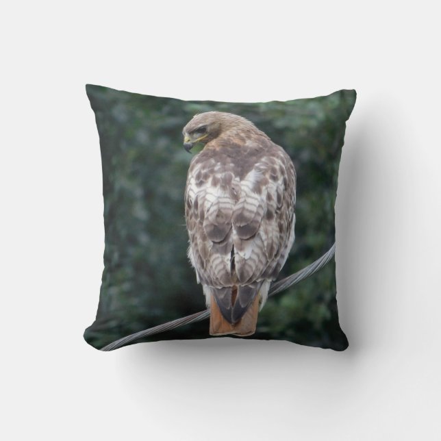 Red Tailed Hawk Back Feathers Pillow (Front)