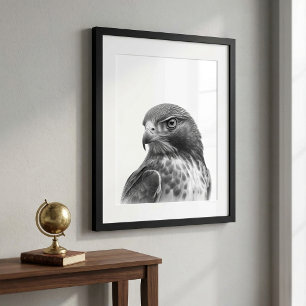 Red Tailed Hawk Bird Portrait Black white Poster