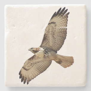 Red Tailed Hawk Bird Wildlife Animal Stone Coaster