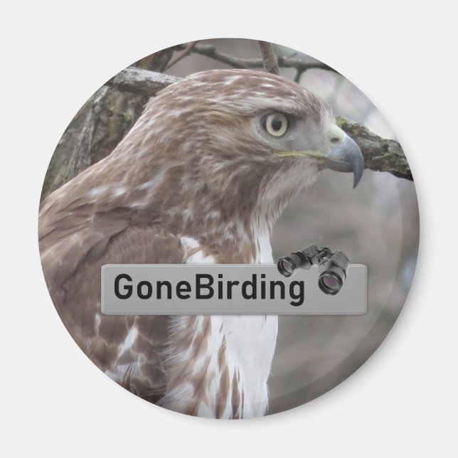 Red-tailed Hawk Birding magnet (Front)
