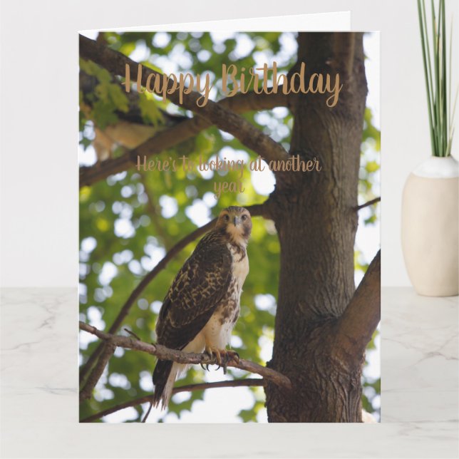 Red tailed Hawk Birthday card (Front)