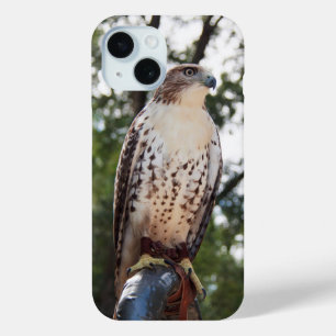Red-Tailed Hawk iPhone 15 Case