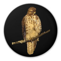 Red Tailed Hawk Ceramic Knob