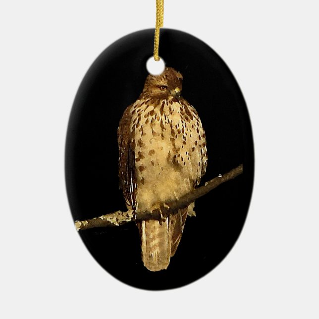 Red Tailed Hawk Ceramic Tree Decoration (Front)