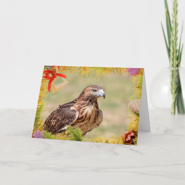 Red-Tailed Hawk Christmas Card (Front)