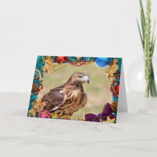 Red-Tailed Hawk Christmas Card
