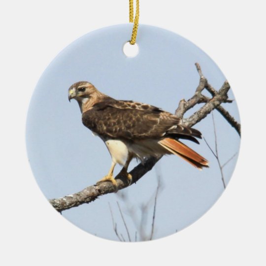 Hawk Christmas Ornament 