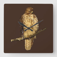 Red-Tailed Hawk Clock