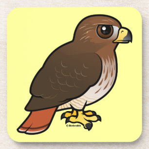 Red-tailed Hawk Coaster