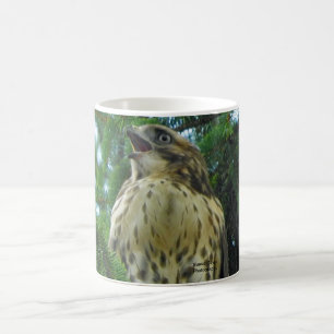 Red-Tailed Hawk Coffee Mug