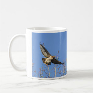 Red-tailed Hawk Coffee Mug
