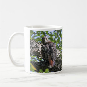 Red-tailed Hawk Coffee Mug
