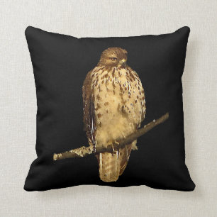 Red Tailed Hawk Cushion