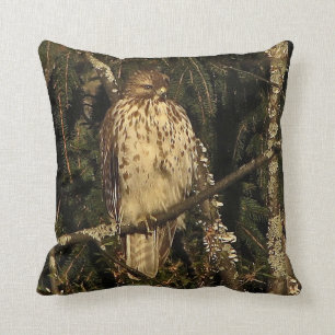 Red Tailed Hawk Cushion