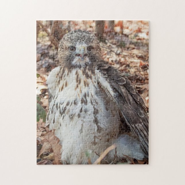 Red Tailed Hawk Doubled Jigsaw Puzzle (Vertical)