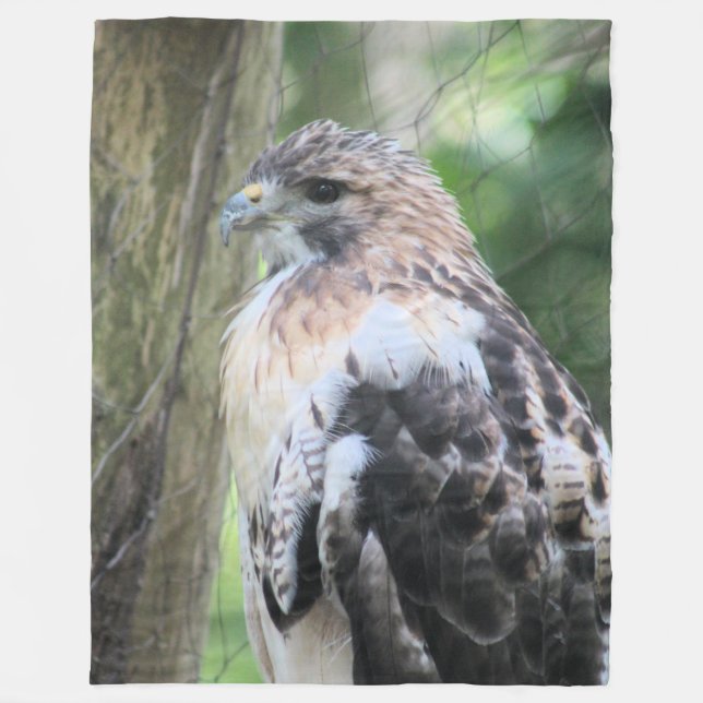 Red tailed hawk fleece blanket (Front)