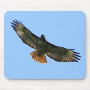 RED TAILED HAWK FLYING MOUSE MAT