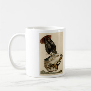 Red-tailed Hawk from Audubon's Birds of America Coffee Mug