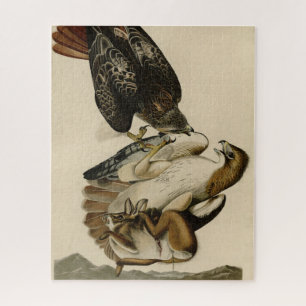 Red-tailed Hawk from Audubon's Birds of America Jigsaw Puzzle