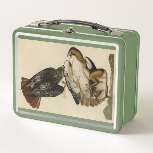 Red-tailed Hawk from Audubon's Birds of America Metal Lunch Box