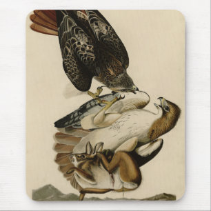 Red-tailed Hawk from Audubon's Birds of America Mouse Mat