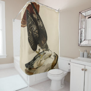 Red-tailed Hawk from Audubon's Birds of America Shower Curtain