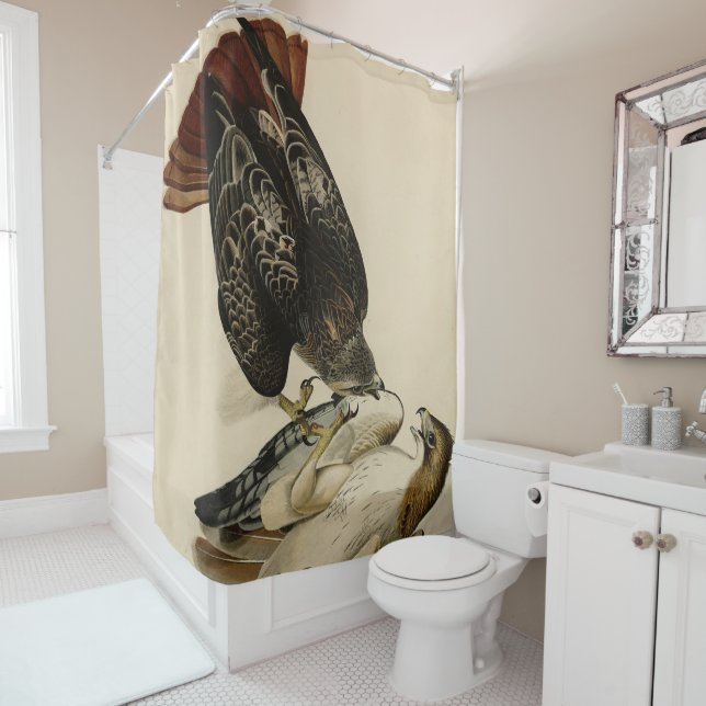 Red-tailed Hawk from Audubon's Birds of America Shower Curtain (In Situ)