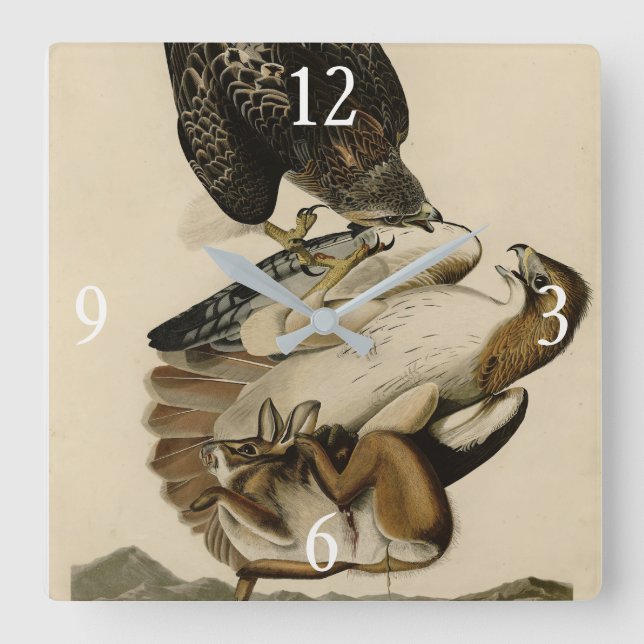 Red-tailed Hawk from Audubon's Birds of America Square Wall Clock (Front)