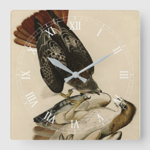 Red-tailed Hawk from Audubon's Birds of America Square Wall Clock