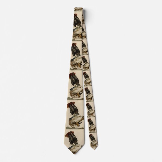 Red-tailed Hawk from Audubon's Birds of America Tie (Front)