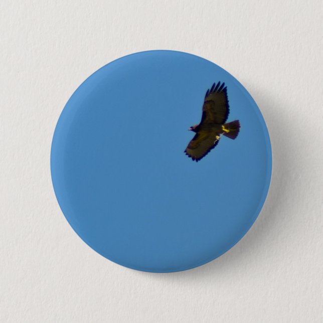 Red Tailed Hawk in Flight 6 Cm Round Badge (Front)