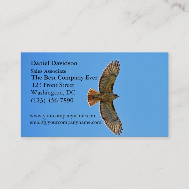 Red-Tailed Hawk in Flight Business Card (Front)