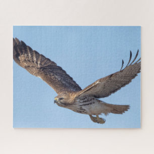 Red-tailed hawk in flight jigsaw puzzle