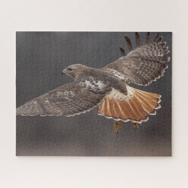 Red-tailed hawk in flight jigsaw puzzle (Horizontal)