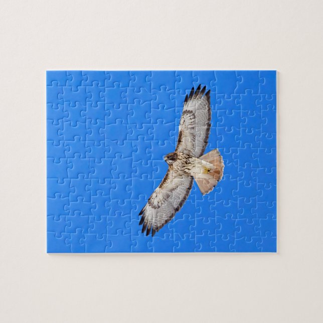 Red Tailed Hawk In Flight Jigsaw Puzzle (Horizontal)