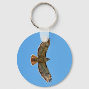 Red-Tailed Hawk in Flight Key Ring