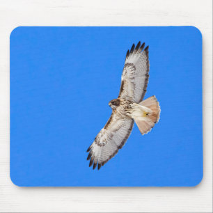 Red Tailed Hawk In Flight Mouse Mat
