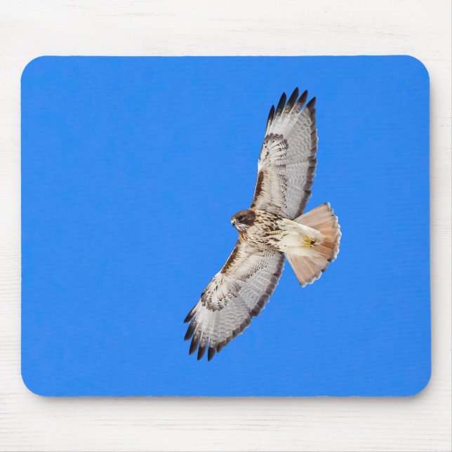 Red Tailed Hawk In Flight Mouse Mat (Front)