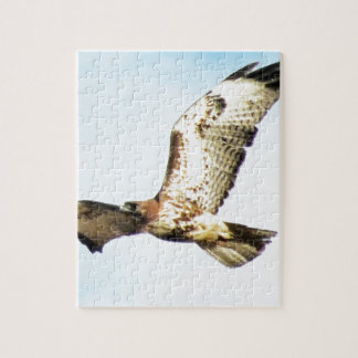 Red-tailed Hawk in Flight Photo Jigsaw Puzzle