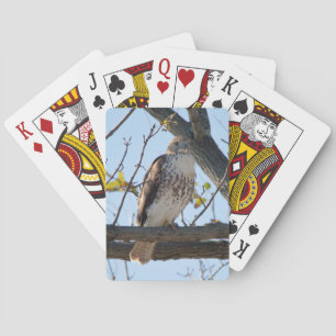 Red Tailed Hawk in flight Playing Cards