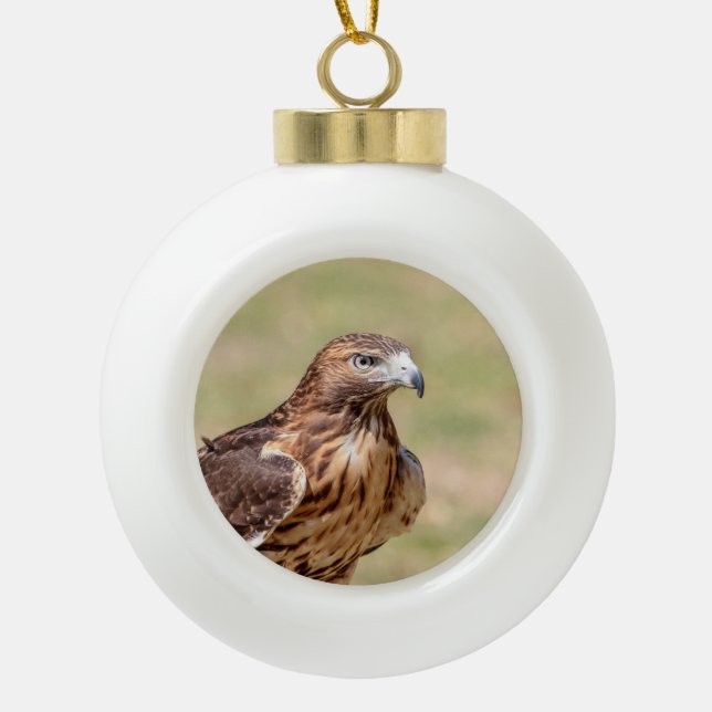 Red-tailed hawk in the Hudson Valley Ceramic Ball Christmas Ornament (Front)