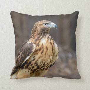 Red-tailed hawk in the Hudson Valley Cushion