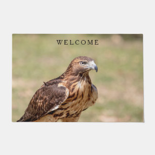Red-tailed hawk in the Hudson Valley Doormat