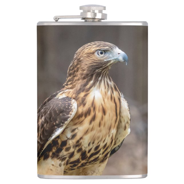 Red-tailed hawk in the Hudson Valley Hip Flask (Front)