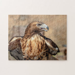 Red-tailed hawk in the Hudson Valley Jigsaw Puzzle