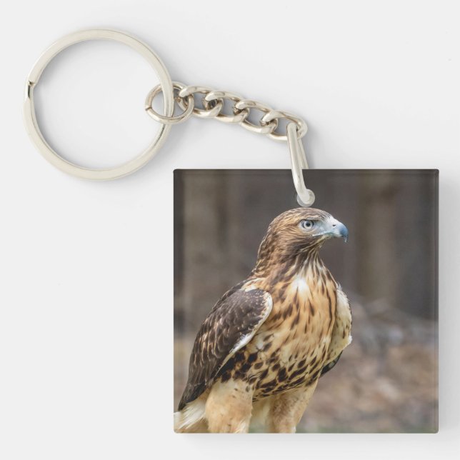 Red-tailed hawk in the Hudson Valley Key Ring (Front)