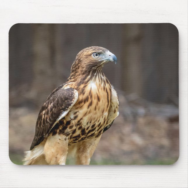 Red-tailed hawk in the Hudson Valley Mouse Mat (Front)