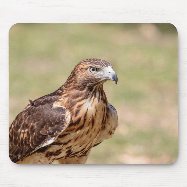 Red-tailed hawk in the Hudson Valley Mouse Mat (Front)
