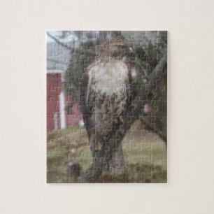 Red-tailed Hawk in Tree Jigsaw Puzzle